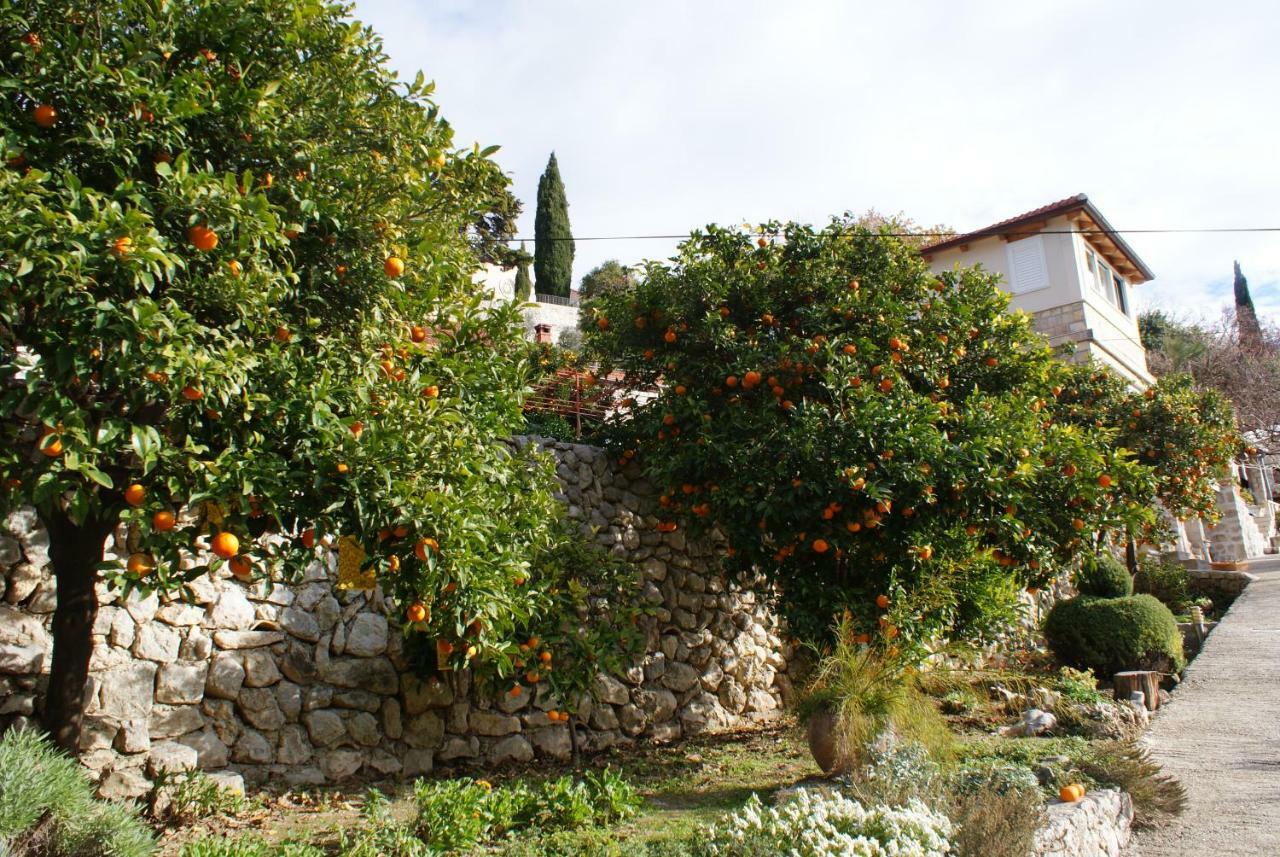 Three Oranges Apartment Trsteno Exterior photo