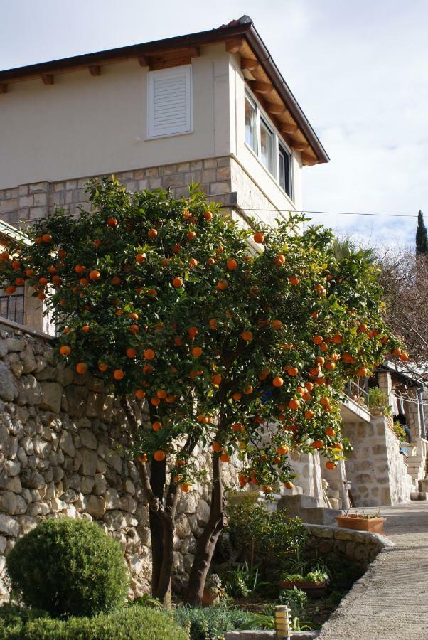 Three Oranges Apartment Trsteno Exterior photo