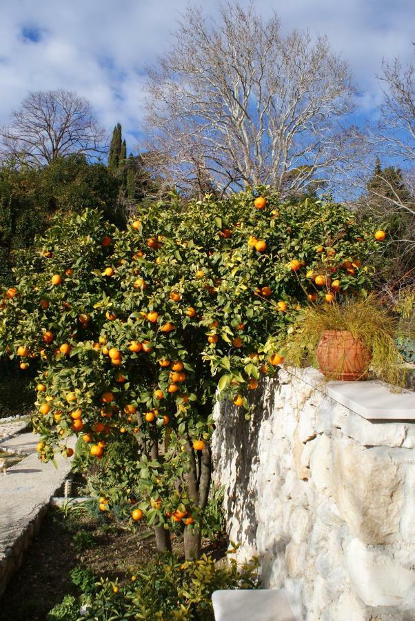 Three Oranges Apartment Trsteno Exterior photo